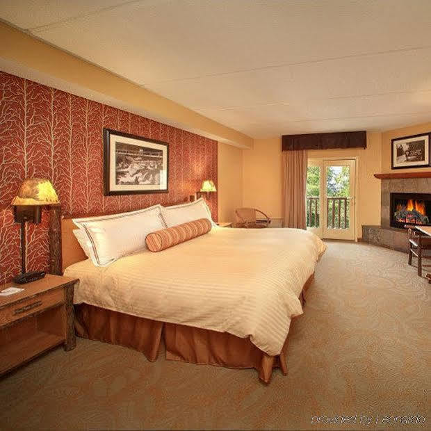 Bearskin Lodge On The River Gatlinburg Pokoj fotografie